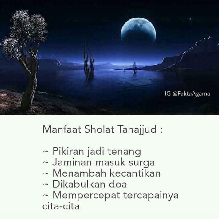 WhatsApp Image 2019-01-16 at 11.12.56 AM (1)