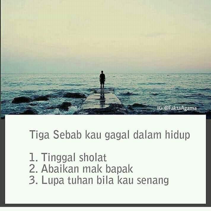 WhatsApp Image 2019-01-16 at 11.12.56 AM (10)