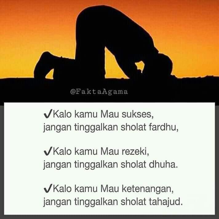 WhatsApp Image 2019-01-16 at 11.12.56 AM (2)
