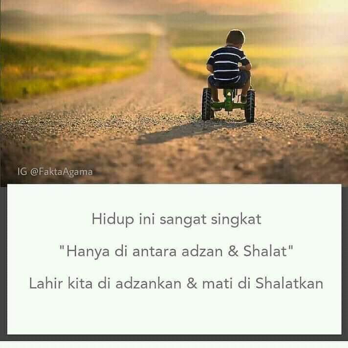 WhatsApp Image 2019-01-16 at 11.12.56 AM (3)