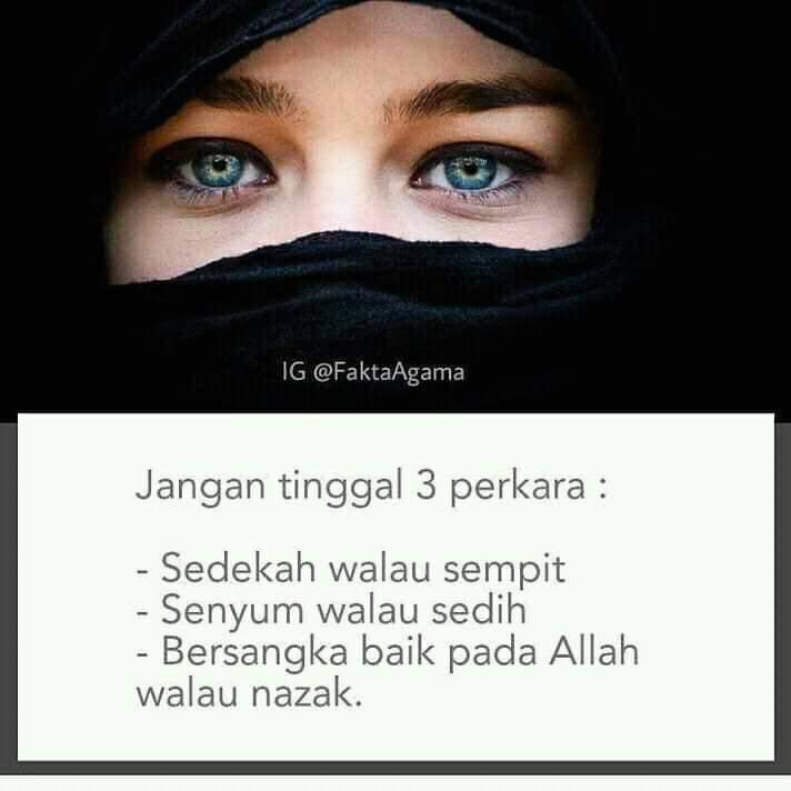 WhatsApp Image 2019-01-16 at 11.12.56 AM (6)