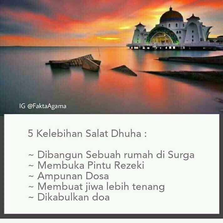 WhatsApp Image 2019-01-16 at 11.12.56 AM (7)