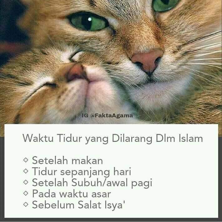 WhatsApp Image 2019-01-16 at 11.12.56 AM (9)